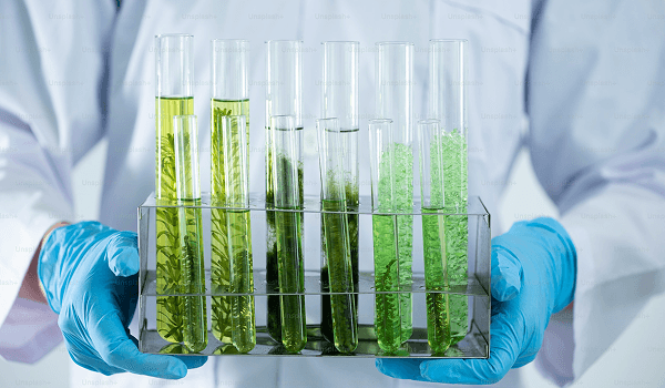 Sustainable Laboratory Solutions & Green Initiatives