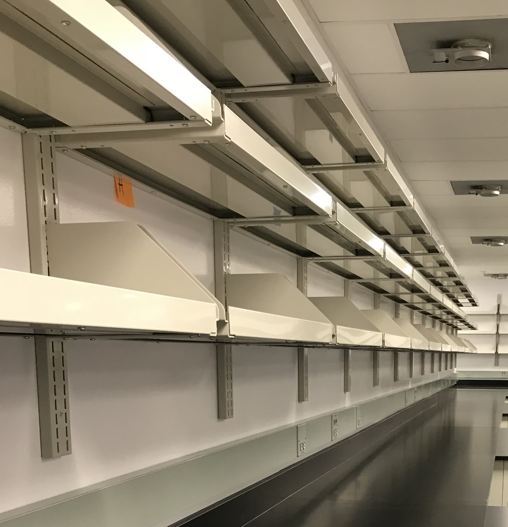 Adjustable Wall Shelving for Labs